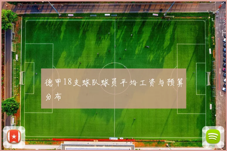 德甲18支球队球员平均工资与预算分布